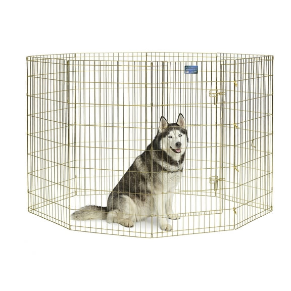 Metal Exercise Pen / Pet Playpen No Door, 48-Inch High & Includes 8 Panels, Gold