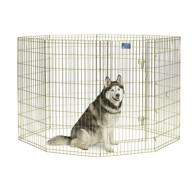 Midwest Homes For Pets Metal Exercise Dog Playpen No Door Gold 48 H Walmart Com Walmart Com