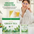 thumbnail image 3 of Soeos Organic Green Tea 6.3oz, Organic Green Tea 100 Tea Bags, Low Caffeine, Fresh and Healthy Green Tea Drink, 3 of 9