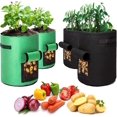 thumbnail image 1 of Bolsa de plantación de geotextil LIUYMXG 4 piezas 10 galones y 7 galones, 1 of 5