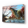 thumbnail image 2 of Epic Art 'Splash of Color - Brook Trout' by Mark Mueller Wildlife Art, Acrylic Glass Wall Art, 24"x16", 2 of 8