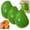 3 Pcs, variant on Crunchy Mango Squishy, Chameleon Mango Stress Ball, Soft Squeeze Desk Decor, Color Changing Mango Design for Office Home Gift (1 Pcs)