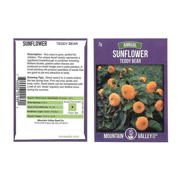 Sunflower Flower Garden Seeds - Teddy Bear - 2 g Packet - Annual Wildflower Gardening Seeds - Mountain Valley Seeds