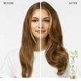 thumbnail image 2 of Pantene Sulfate Free Shampoo and Conditioner Set, Volumizing, Color Safe, 9.6 fl oz and 8.0 fl oz, 2 of 13