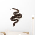 thumbnail image 1 of Black Pastel Ball Python Wall Decal by Wallmonkeys Peel and Stick Graphic (18 in H x 12 in W) WM292992, 1 of 4