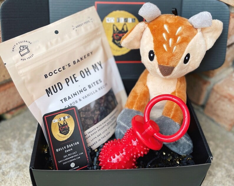 So Fetch Mini Welcome Home Puppy Gift Box Puppy Gift Basket