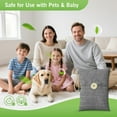 thumbnail image 3 of Charcoal bags Odor Absorber Activated Bamboo Charcoal Air Purifying Bag for Home Odor Eliminator Car Air Freshener for Closet Deodorizer Shoe Room Basement Litter Box Pet safe Bag 15Packs×100g, 3 of 4