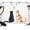White, variant on 7x5ft Photo Backdrop, Funny Cat Soft Polyester Backdrop Curtains Photography Backdrops, Simple Orange Black Cats Grey Butterfly Brushed Background for Photoshoots Studio Video Portrait Parties