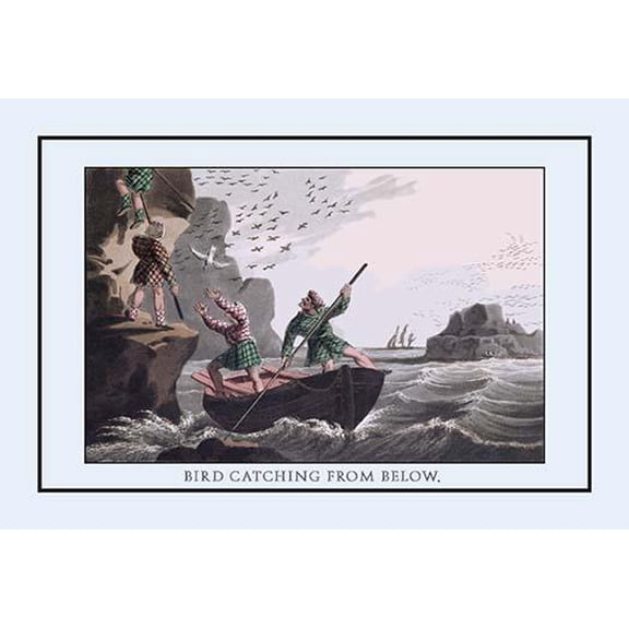 Bird Catching From Below-Fine Art Canvas Print (20" x 30")