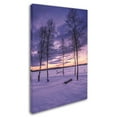 thumbnail image 2 of Trademark Fine Art 'Sunset Mist' Canvas Art by Philippe Sainte-Laudy, 2 of 3