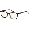 GAMMA RAY 010 Slim Vintage Computer Readers Reading Glasses Anti Reflective Anti Glare Anti Eyestrain Lens for Digital Screens, UV400 Protection