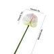 thumbnail image 3 of Flor de imitación de anturio,grulla de fuego,palmera artificial,arreglo floral para el salón de bodas,vegetación para el hogar,flores artificiales decorativas, 3 of 6