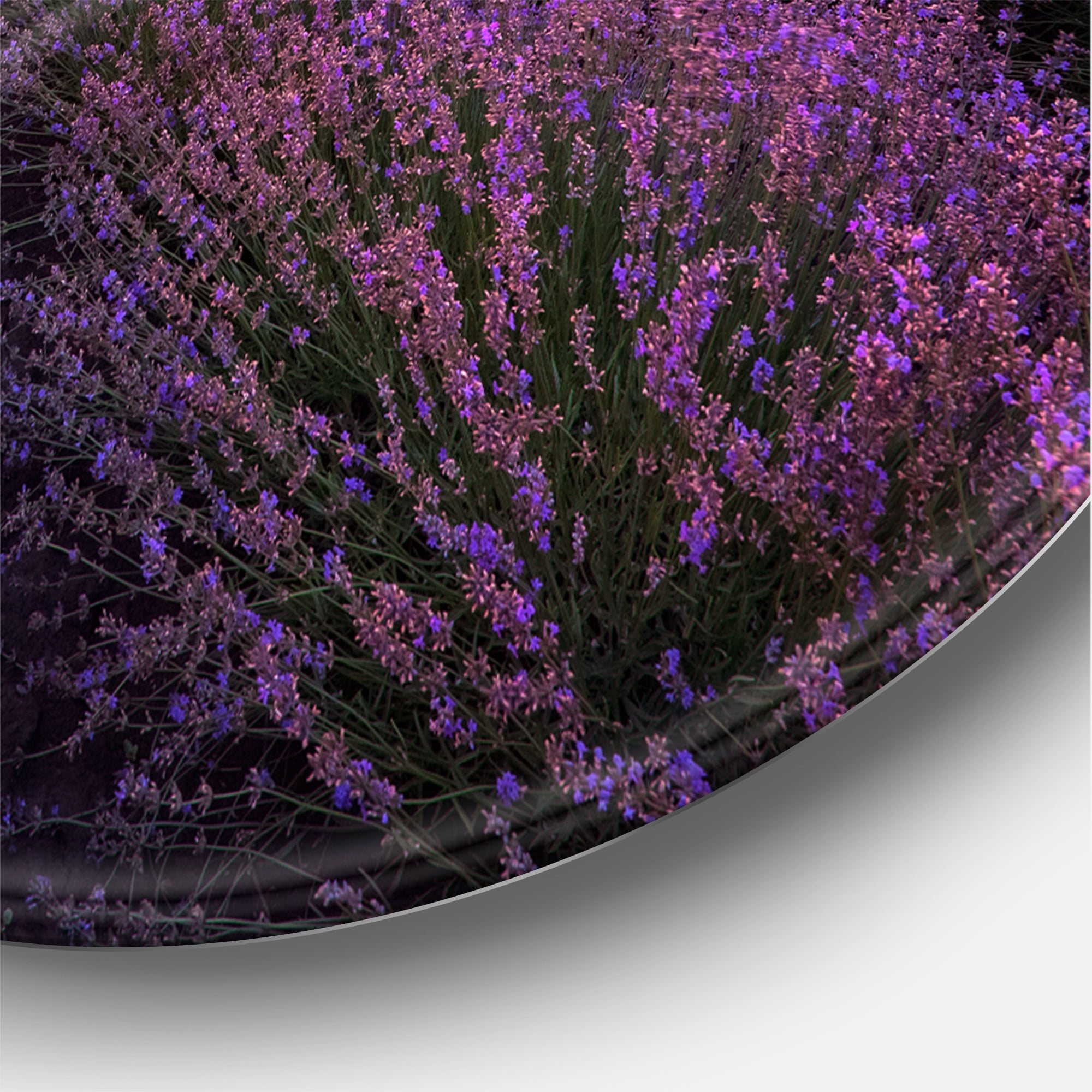Designart 'Dramatic Clouds and Sunrise Over Lavender Field XIII' Farmhouse Circle Metal Wall Art 29x29 - Disc of 29