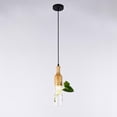 thumbnail image 3 of Nordic Creative Pendant Light with Glass Plant Pot Small Chandelier Modern Simple Lighting Fixtures Lamp for Kitchen , en botella Colco lámpara colgante, 3 of 7
