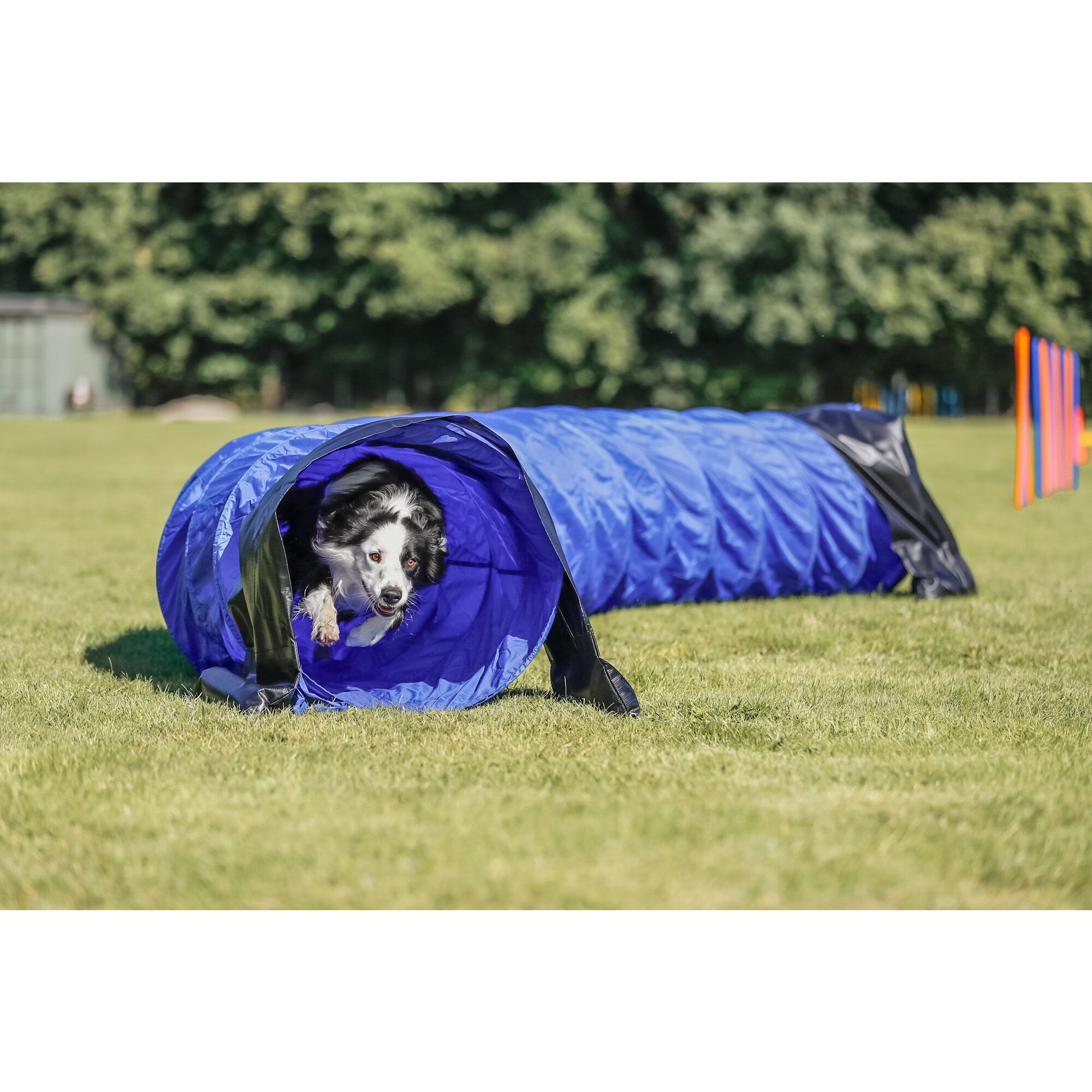 TRIXIE Dog Agility Tunnel 16.5', Portable Dog Training Tunnel