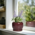 thumbnail image 3 of Ordivic 6 inch Glossy Red Ceramic Planter with Saucer & Drainage Hole, Small Tall Ceramic Planter for Snake Plants Office Home Decor, 3 of 6