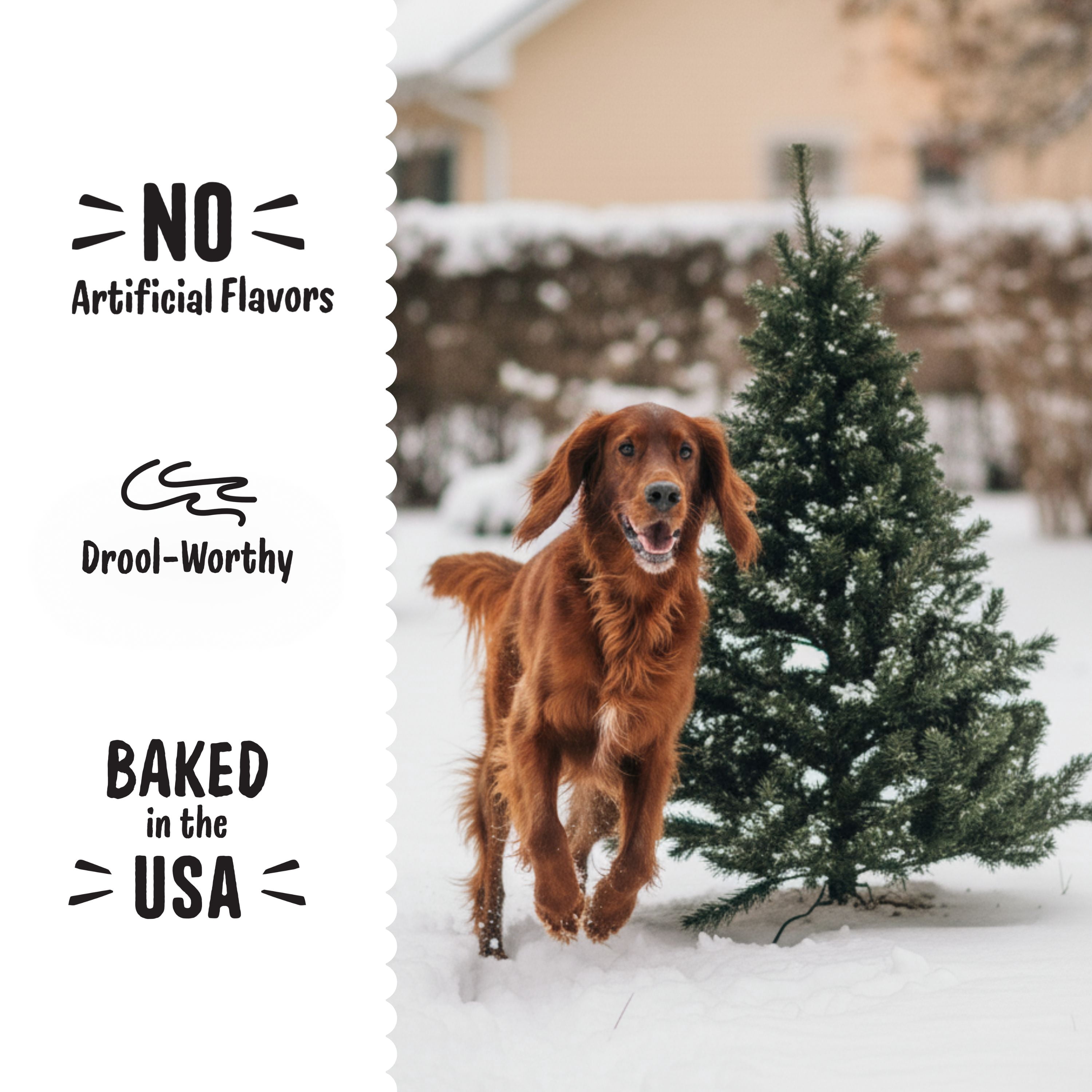 Three Dog Bakery Ho Ho Ho Hot Chowcolate Treats, Premium Treats for Dogs, 5 Ounces Each