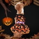 thumbnail image 4 of Juguetes para mascotas Productos para mascotas Falda de encaje de calabaza Productos para mascotas Falda doble de fiesta Suministros para mascotas, 4 of 8