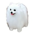 thumbnail image 2 of Juguetes para piscina, juguetes para bebés y niños pequeños. Muñeco realista de perro pomerania: peluche súper suave., 2 of 5
