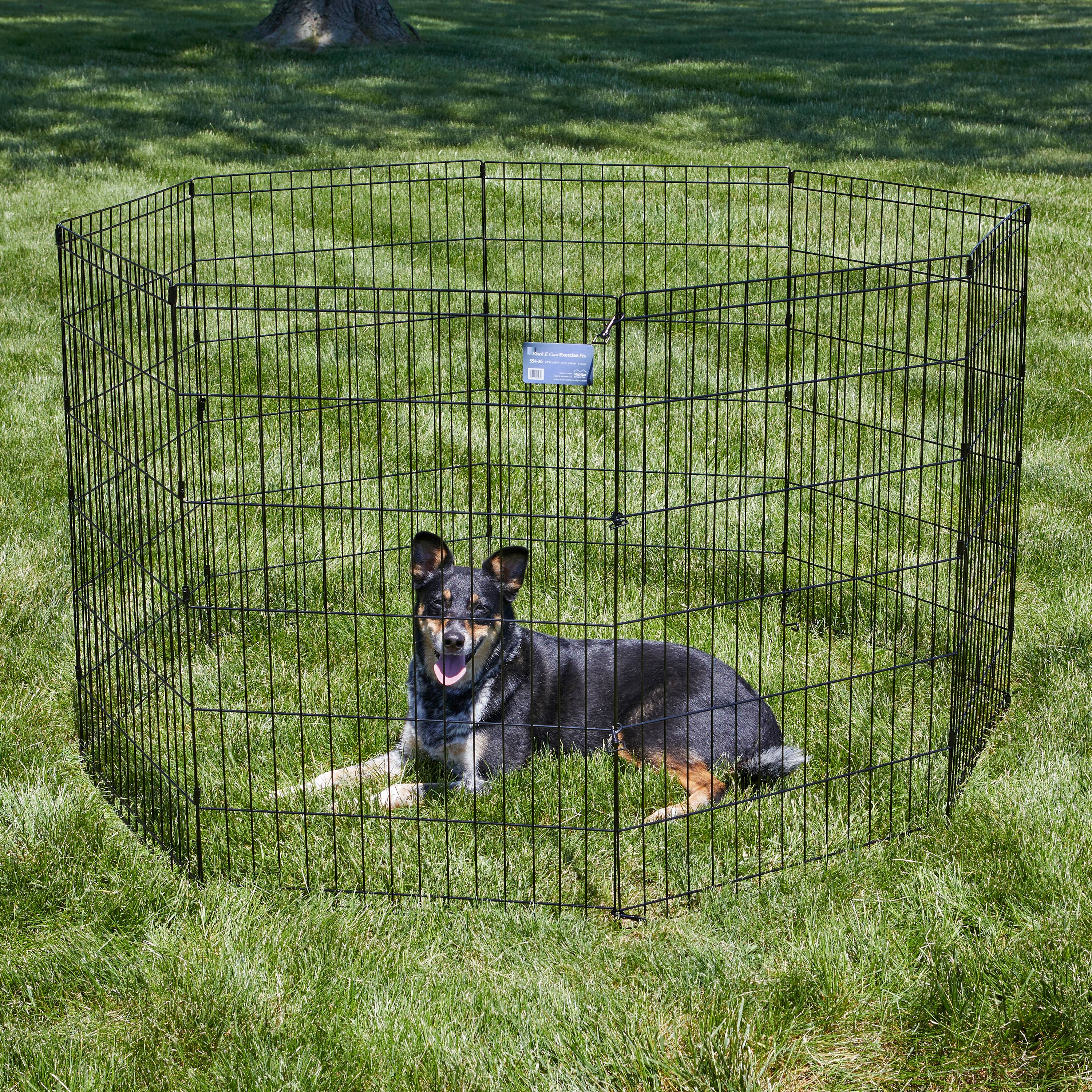 MidWest Homes for Pets Foldable Metal Exercise Pet Dog Playpen Without Door, 36"H - image 2 of 6