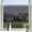 Black Silver, variant on Way Window Film,Black- Static Cling, 17.5" x 78.7"