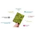 thumbnail image 3 of Seaweed Organic Roasted Seaweed Keto, Vegan, Gluten Free - Great Source of Iodine and Omega 3’s Healthy On-The-Go Snack for Kids & Adults Sea Salt & Avocado Oil 48 Count (Pack of 8), 3 of 5