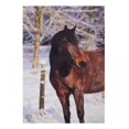 thumbnail image 1 of Kevin Milner Horse In The Snow Christmas Card, 1 of 1