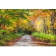 thumbnail image 2 of Gulin, Sylvia 32x23 Black Ornate Wood Framed with Double Matting Museum Art Print Titled - USA-New England-Maine-Wild River gravel road lined with Fall colored Birch and Maple trees, 2 of 4