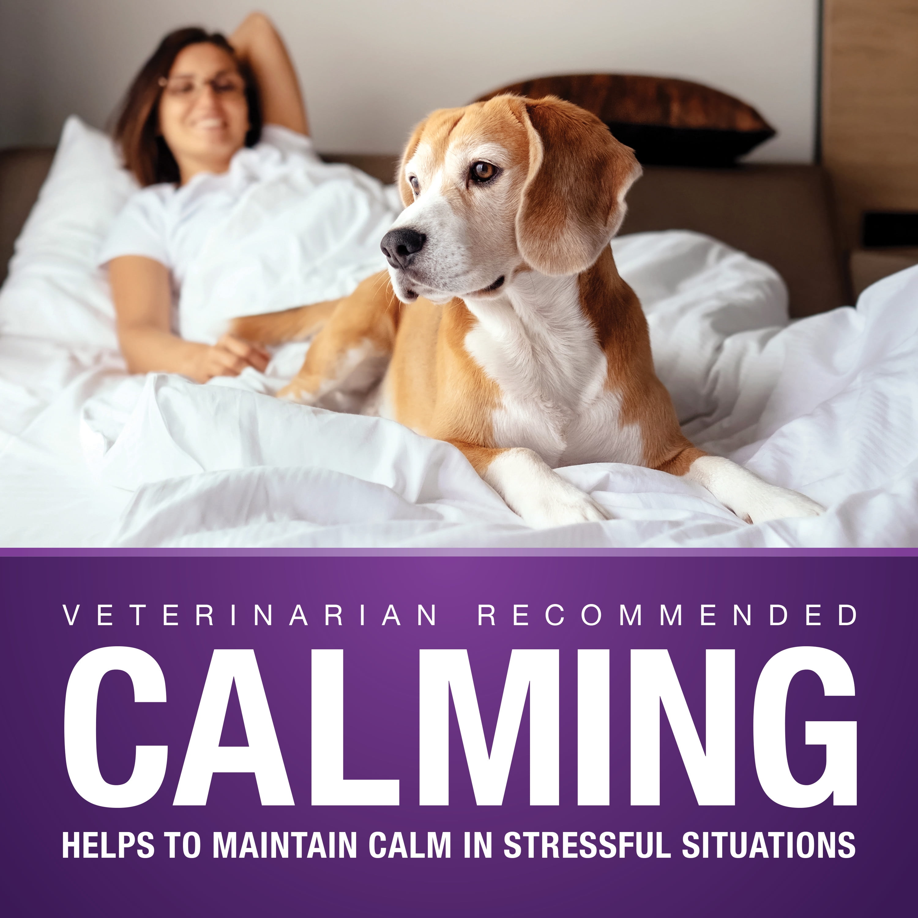 VetIQ Calming Supplement for Dogs, Hickory Smoke Flavored Soft Chews, 90 Count, 11.1 oz