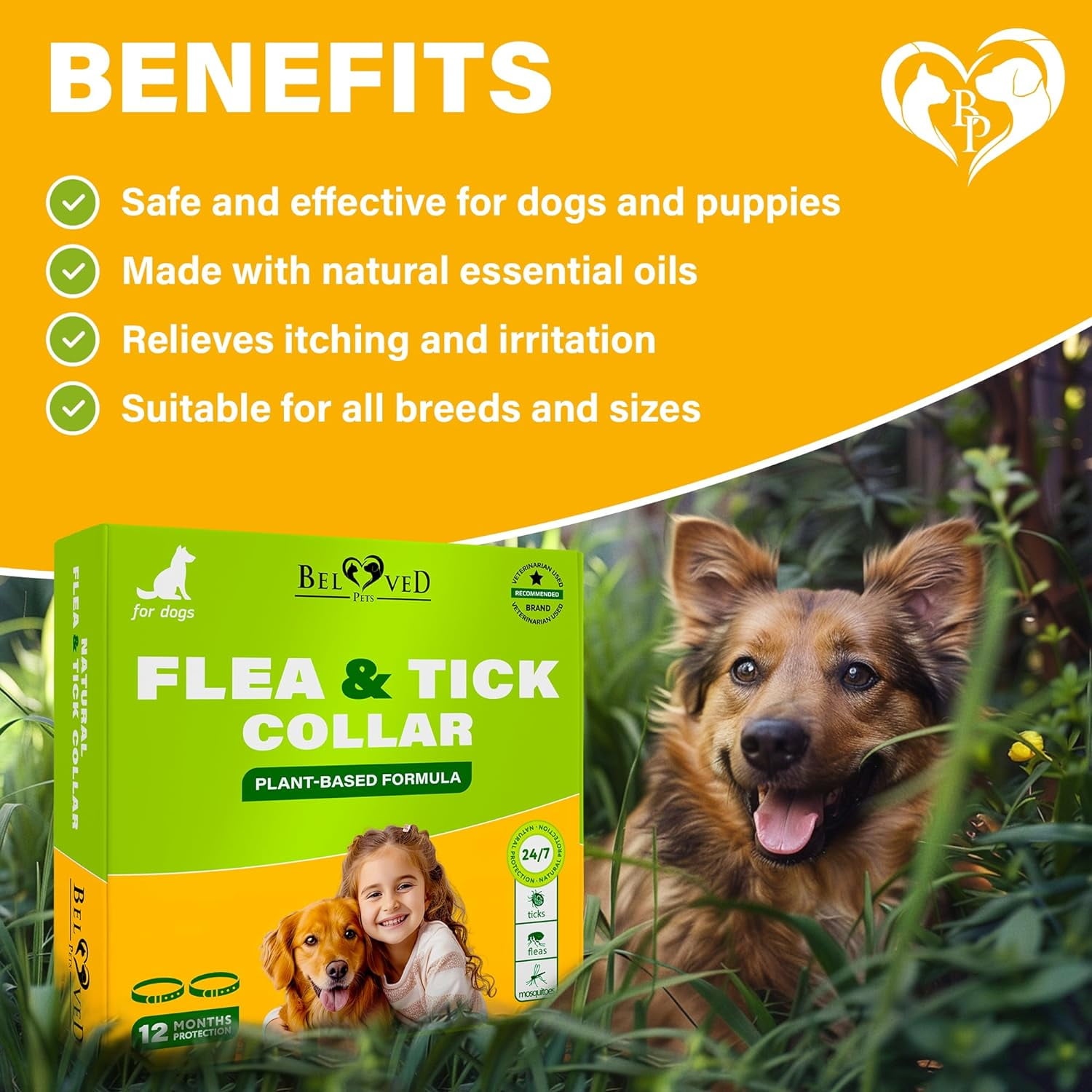 Natural Flea & Tick Collar for Dogs - 12 Months of Prevention & Safe Treatment, Anti-Flea and Tick Essential Oil Repellent (1 Pack, 2 Count)