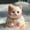 B B, variant on Latrodar Baby Girl Gifts Stocking Stuffers for Kids Kitty Soft Toys Big Kitty Soft Toys Funny Cute Super Soft Kitty Soft Stress Relief Toys Stress Relief Sensory Christmas Toys Gifts