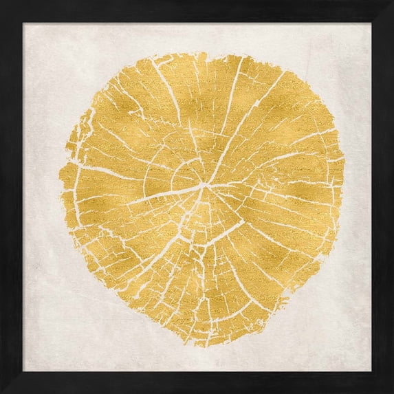 Tree Stump Golden IV by Ramona Murdock, Framed Wall Art, 13.25W x 13.25H