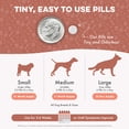 thumbnail image 6 of Dog Mange Supplement - Natural Mites Solution - Helps with Dog Skin Irritation, Hot Spots, and Dandruff, 6 of 15