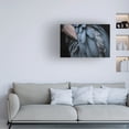 thumbnail image 2 of Trademark Fine Art Juri Aoki Feather Canvas Wall Art, 2 of 4