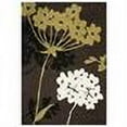 thumbnail image 3 of Safavieh Porcello Gemma Floral Area Rug or Runner, 3 of 3
