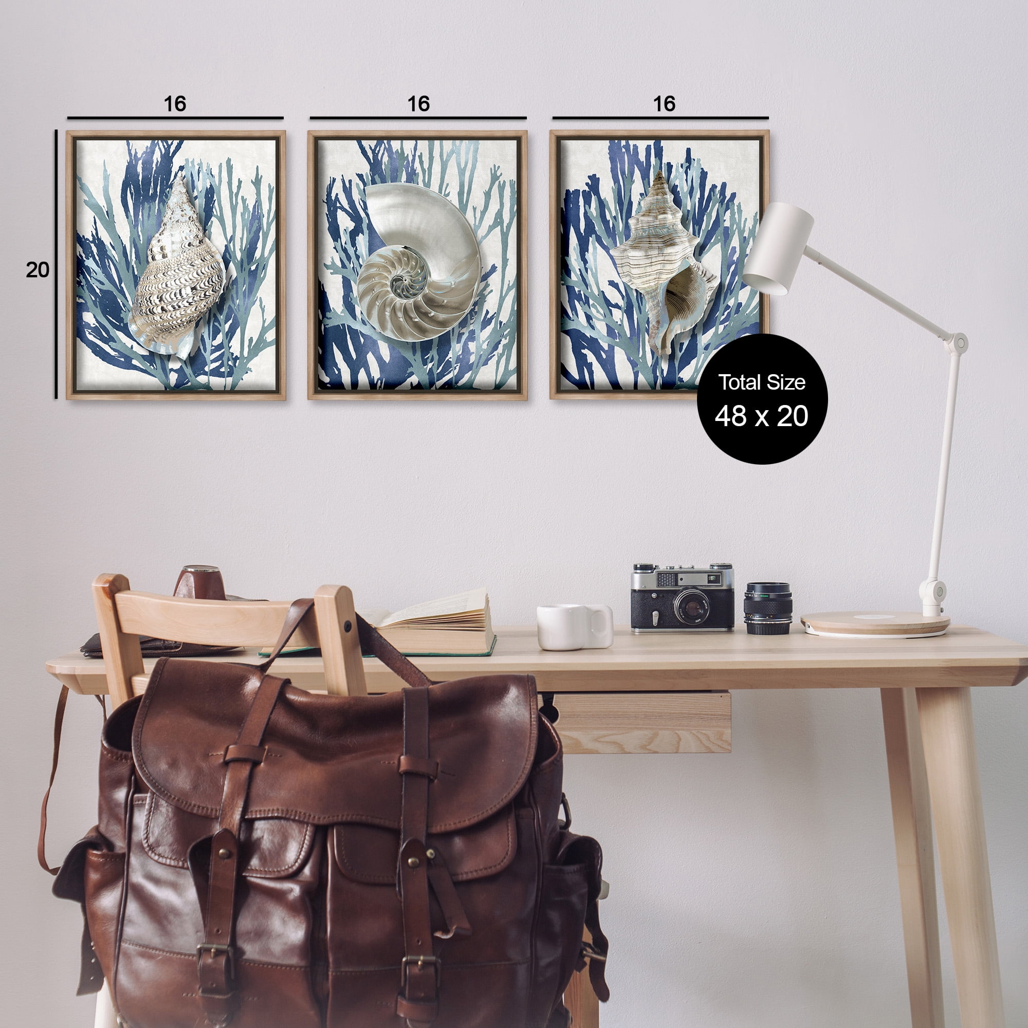 Stupell Industries Trio of Shells & Coral Nature Painting Brown Floater Framed Canvas Art Print Wall Art, 17 x 21, Set of 3