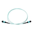 thumbnail image 1 of Axiom AX - Câble Réseau - MPO Multimode (m) vers MPO Multimode (m) - 50 m - Fibre Optique - 50 / 125 micron - OM3 - riser - aqua, 1 of 4