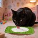 thumbnail image 5 of Comedero Lento Para Perros Almohadilla De Silicona Para Que Los Perros Laman Dispensador Para Cachorros Y Gatos Que Evita La Ansiedad Y El Desorden Seaflex Feast Mat – Comedero Lento Fomenta El, 5 of 5