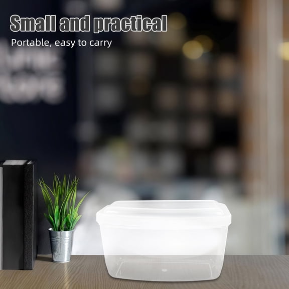 Toddmomy Mask Container Protective 1Pack 7.5X4.3X3.9In