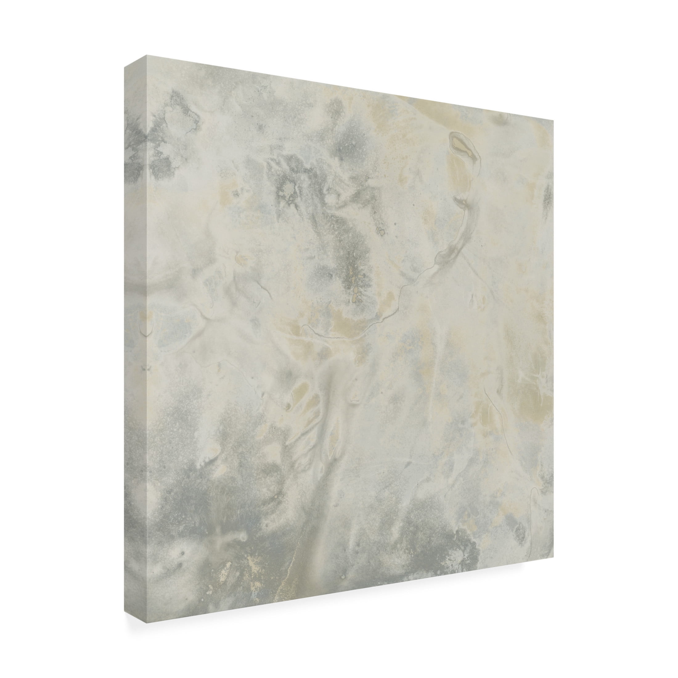 Trademark Fine Art June Erica Vess Stone Surface II Canvas Wall Art