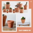 thumbnail image 2 of PBPBOX 20Pcs Compact Terracotta Flower Containers for Home Indoor and Outdoor Gardening, 2 of 8