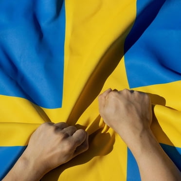 Anley Rip-Proof Double Sided 3-Ply Sweden Flag 3x5 Foot - The Strongest, Longest Lasting Swedish National Flags 3 X 5 Ft
