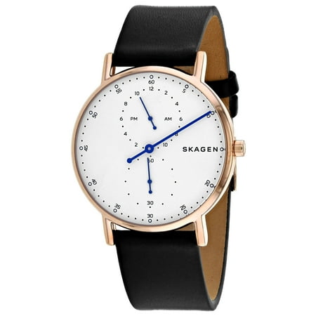 Skagen Mens Titanium Watch - Skagen Men's Signatur SKW6390 Watch