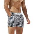 thumbnail image 1 of Shorts De Playa De Secado Rápido A Rayas Para Hombre, 1 of 8