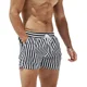 thumbnail image 1 of Shorts De Playa De Secado Rápido A Rayas Para Hombre, 1 of 8