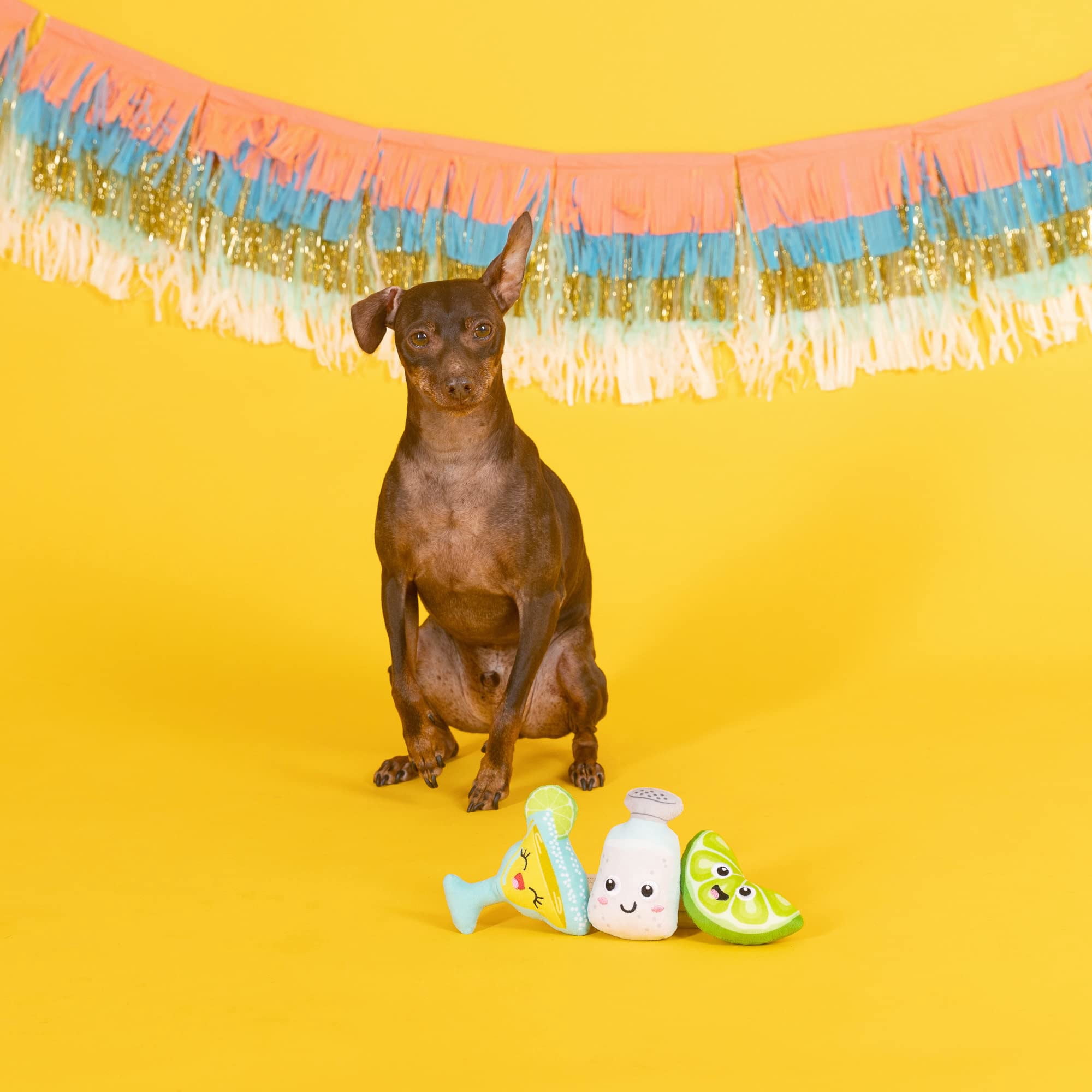 Plush dog toy set for small dogs, 3 piece squeaky toys bundle, interactive pet toys for fetch and playtime, durable stuffed animal toys, multicolor