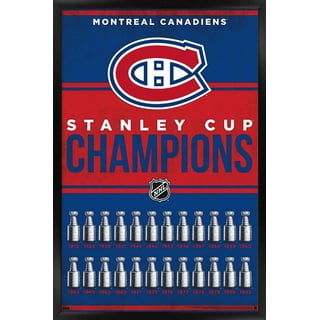 NHL Montreal Canadiens - Retro Logo 13 Wall Poster with Push Pins, 22.375  x 34 