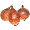 thumbnail image 6 of Riverside Sweet Spanish Onion Seeds for Planting, 300+ Heirloom Seeds Per Packet, Non GMO Seeds, Botanical Name: Allium cepa, Great Home Garden Gift, 6 of 8