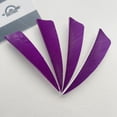 thumbnail image 1 of 50PCS 3 Inch Shield Archery Arrow Turkey Feathers Fletching Right Wing For Hunting Accessories Purple, 1 of 6