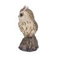 thumbnail image 2 of MOTION ACTIVATED SINGING LONG EARED OWLET STANDING ON STUMP, 2 of 5